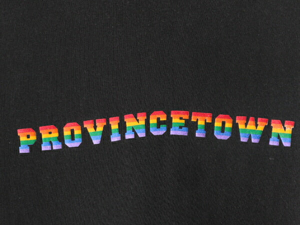 90s DON'T PANIC メッセージ プリント Tシャツ メンズ L / 古着 黒 90年代 オールド 当時物 プリントT レインボー ヘビーウェイト ブラック