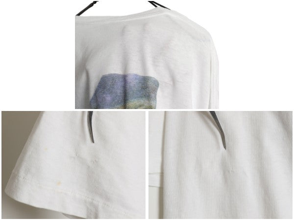 90s ★ バナナリパブリック アニマル イラスト プリント Tシャツ メンズ XL 程/ オールド アート サファリ アウトドア シングルステッチ 白