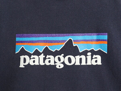 パタゴニア プリント スウェット フード パーカー メンズ L 19年製 Patagonia トレーナー プルオーバー ストレッチ ヘビーウェイト 裏起毛
