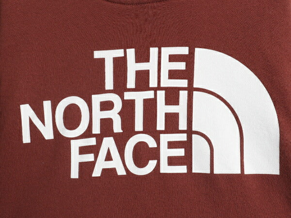 ノースフェイス プリント スウェット フード パーカー メンズ S / The North Face 裏起毛 プルオーバー トレーナー アウトドア テラコッタ