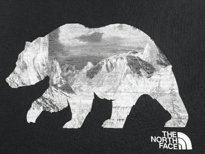 ノースフェイス ベア イラスト プリント スウェット フード パーカー メンズ M / 古着 The North Face プルオーバー 裏起毛 アウトドア 黒