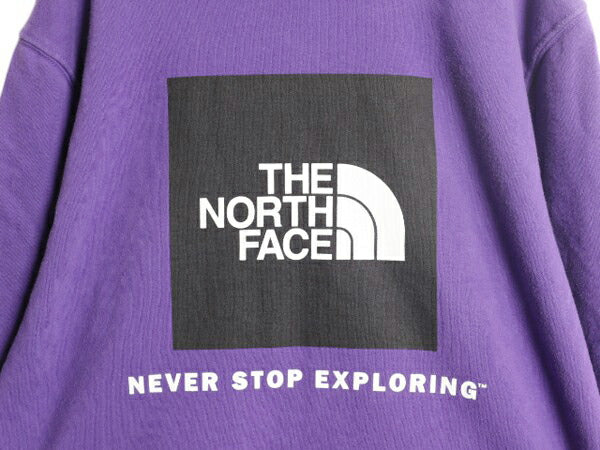 US企画 ノースフェイス 両面 プリント スウェット フード パーカー メンズ L / The North Face プルオーバー トレーナー アウトドア 裏起毛