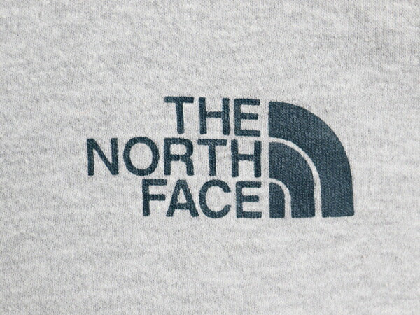 US企画 ノースフェイス 両面 プリント スウェット フード パーカー メンズ M / The North Face プルオーバー トレーナー アウトドア 裏起毛