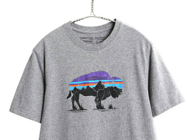 パタゴニア プリント 半袖 Tシャツ メンズ S / 古着 18年製 アウトドア カットソー フィッツロイ バイソン イラスト グラフィック トップス