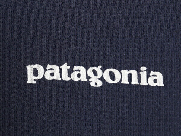 パタゴニア 両面 プリント 半袖 Tシャツ メンズ L / アウトドア 染込み P6 バックプリント ボックスロゴ オーガニック コットン カットソー