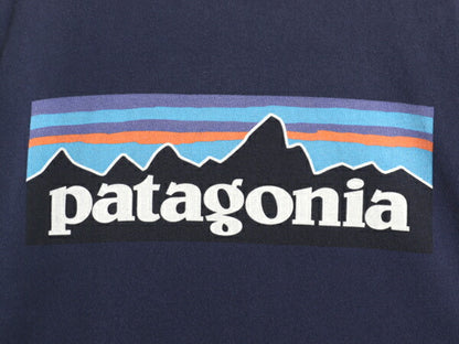 パタゴニア 両面 プリント 半袖 Tシャツ メンズ L / アウトドア 染込み P6 バックプリント ボックスロゴ オーガニック コットン カットソー