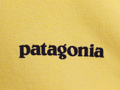 パタゴニア 両面 プリント 半袖 Tシャツ メンズ XL  21年製 アウトドア P6 バックプリント ボックスロゴ カットソー 大きいサイズ シンプル
