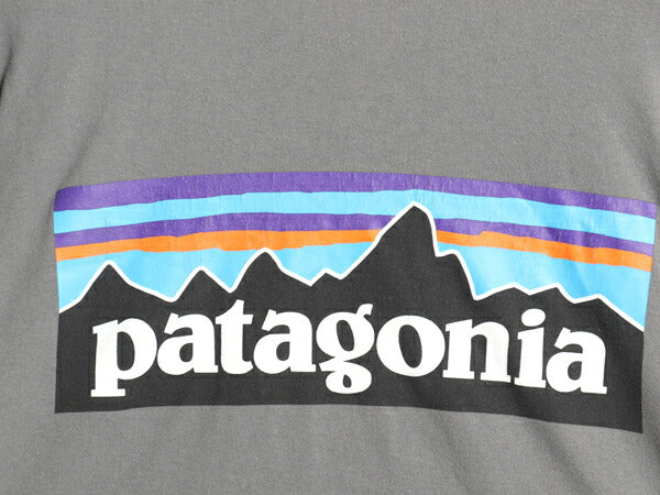 パタゴニア 両面 プリント 長袖 Tシャツ メンズ M 22年製 アウトドア ロンT ロングスリーブ カットソー ボックスロゴ P6 バックプリント 灰
