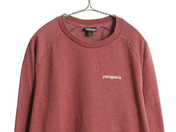 パタゴニア 両面 プリント ライトウェイト スウェット メンズ L / 19年製 トレーナー 長袖Tシャツ ロンT グラフィック イラスト カットソー