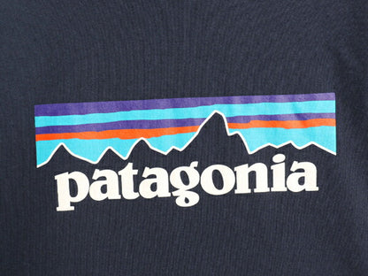 パタゴニア プリント スウェット フード パーカー メンズ S 古着 19年製 Patagonia トレーナー プルオーバー ストレッチ アウトドア 裏起毛