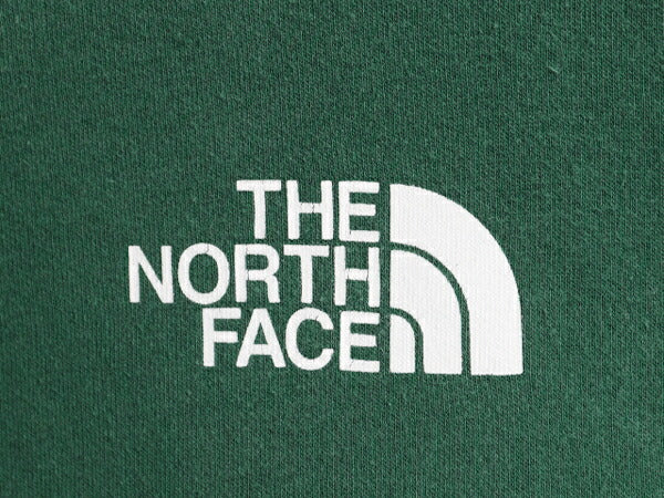 ノースフェイス 両面 プリント スウェット フード パーカー メンズ M / 古着 The North Face プルオーバー トレーナー アウトドア 裏起毛