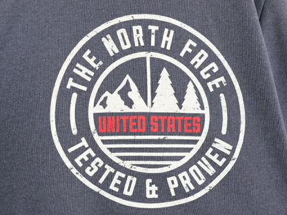 ノースフェイス 両面 プリント スウェット フード パーカー メンズ L / The North Face プルオーバー 裏起毛 トレーナー アウトドア 星条旗