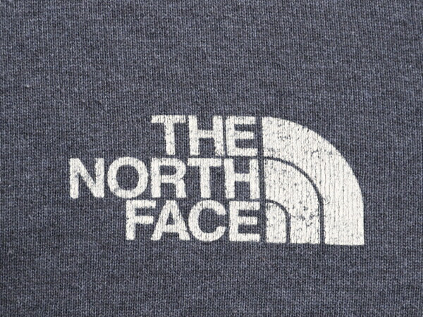 ノースフェイス 両面 プリント スウェット フード パーカー メンズ L / The North Face プルオーバー 裏起毛 トレーナー アウトドア 星条旗