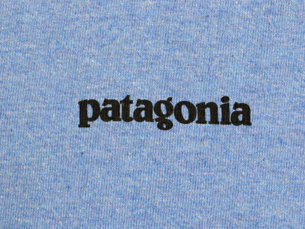 パタゴニア 両面 プリント 長袖 Tシャツ メンズ S / 古着 19年製 Patagonia アウトドア ロンT ロングスリーブ ロゴT P6 バックプリント 青