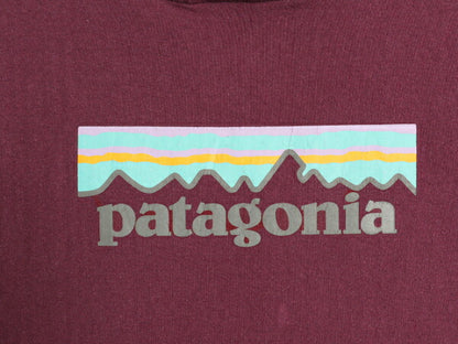 パタゴニア プリント スウェット フード パーカー レディース L 19年製 Patagonia トレーナー プルオーバー ストレッチ 裏起毛 アウトドア