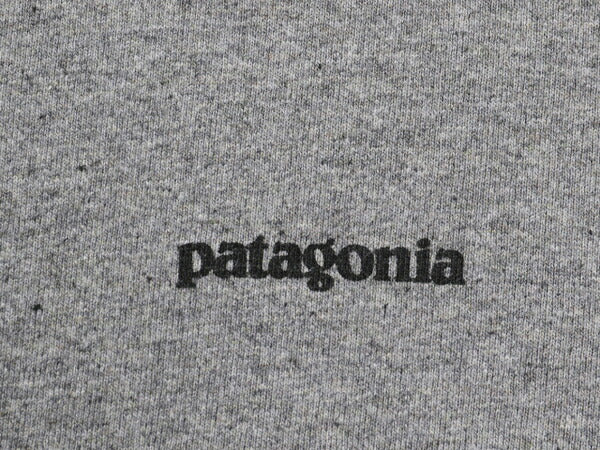 パタゴニア 両面 プリント 長袖 Tシャツ レディース S / 古着 Patagonia アウトドア ロンT ロングスリーブ ロゴT P6 バックプリント グレー
