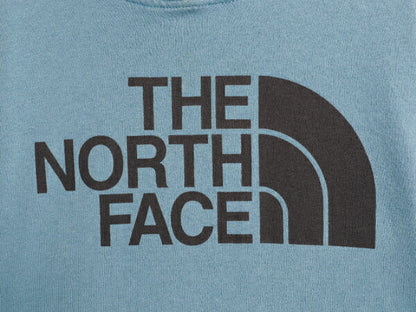 ノースフェイス プリント スウェット フード パーカー メンズ L The North Face 裏起毛 プルオーバー トレーナー アウトドア ライト ブルー