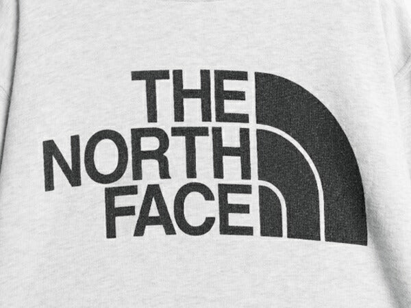 ノースフェイス プリント スウェット フード パーカー メンズ XL The North Face アウトドア プルオーバー 裏起毛 トレーナー 大きいサイズ