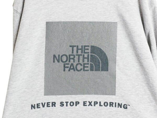 US企画 ノースフェイス 両面 プリント スウェット フード パーカー メンズ L / The North Face 裏起毛 プルオーバー トレーナー アウトドア