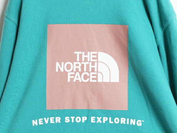 US企画 ノースフェイス 両面 プリント スウェット フード パーカー メンズ L / The North Face プルオーバー トレーナー アウトドア 裏起毛