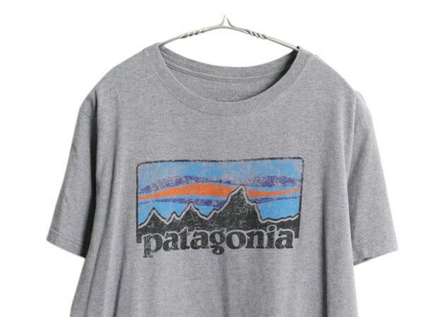 パタゴニア プリント 半袖 Tシャツ メンズ M / クルーネック グラフィック アート カットソー シンプル オーガニック コットン 細身 グレー