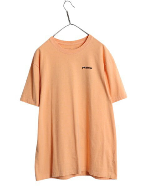 パタゴニア 両面 プリント 半袖 Tシャツ メンズ L / 19年製 アウトドア P6 バックプリント ボックスロゴ クルーネック カットソー シンプル