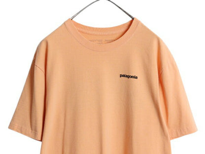 パタゴニア 両面 プリント 半袖 Tシャツ メンズ L / 19年製 アウトドア P6 バックプリント ボックスロゴ クルーネック カットソー シンプル