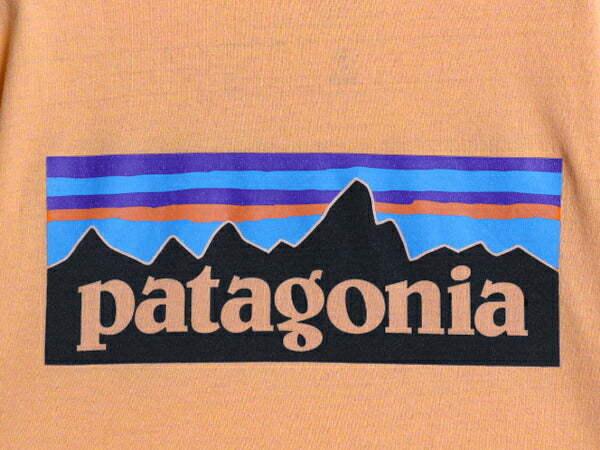 パタゴニア 両面 プリント 半袖 Tシャツ メンズ L / 19年製 アウトドア P6 バックプリント ボックスロゴ クルーネック カットソー シンプル
