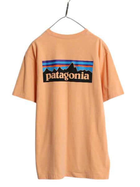 パタゴニア 両面 プリント 半袖 Tシャツ メンズ L / 19年製 アウトドア P6 バックプリント ボックスロゴ クルーネック カットソー シンプル