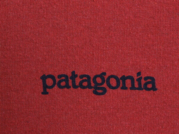 パタゴニア 両面 プリント 半袖 Tシャツ メンズ L / 古着 アウトドア バックプリント クルーネック カットソー グラフィック ワイン レッド