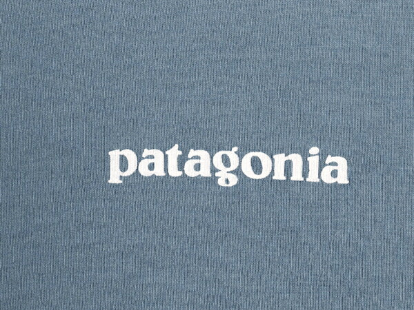 パタゴニア 両面 プリント 半袖 Tシャツ メンズ L / 20年製 アウトドア P6 バックプリント ボックスロゴ クルーネック カットソー シンプル