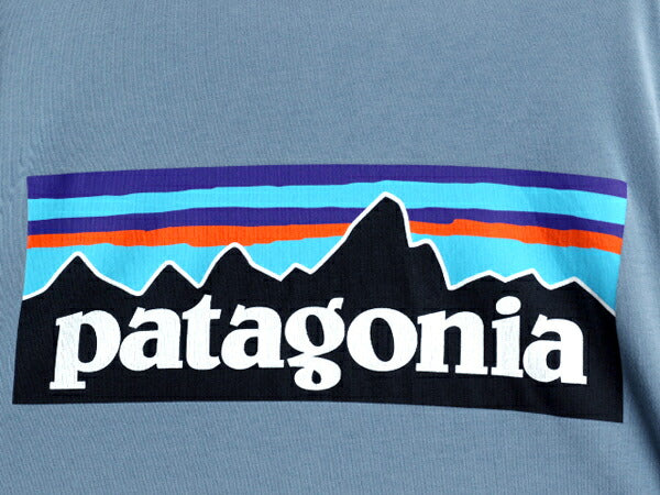 パタゴニア 両面 プリント 半袖 Tシャツ メンズ L / 20年製 アウトドア P6 バックプリント ボックスロゴ クルーネック カットソー シンプル