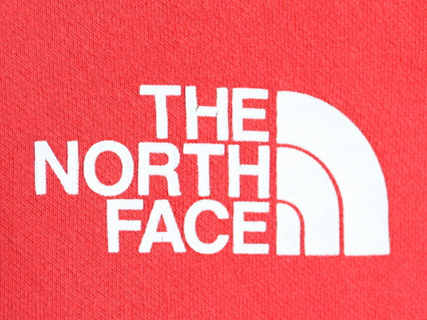 US企画 ノースフェイス 両面 プリント スウェット フード パーカー メンズ S The North Face 裏起毛 トレーナー アウトドア プルオーバー