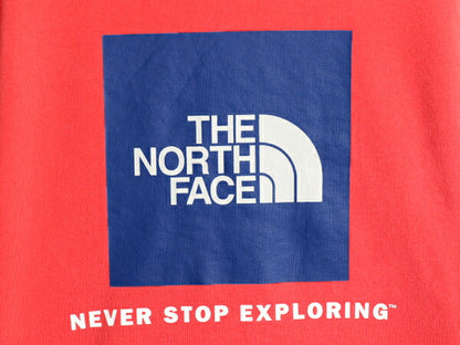 US企画 ノースフェイス 両面 プリント スウェット フード パーカー メンズ S The North Face 裏起毛 トレーナー アウトドア プルオーバー
