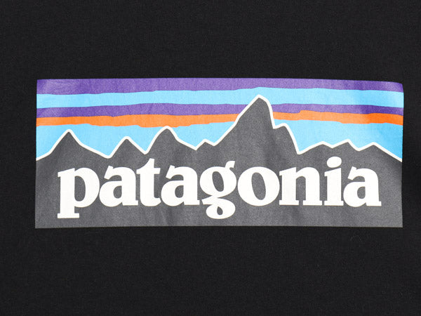 パタゴニア 両面 プリント 長袖 Tシャツ メンズ L 21年製 アウトドア ロンT ロングスリーブ P6 バックプリント ボックスロゴ カットソー 黒