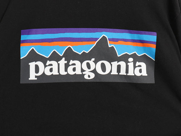 パタゴニア 両面 プリント 長袖 Tシャツ メンズ M 19年製 アウトドア ロンT ロングスリーブ P6 バックプリント ボックスロゴ カットソー 黒