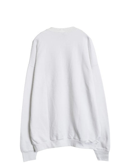 90s 2段 カレッジ プリント スウェット メンズ XXL / オールド トレーナー 裏起毛 クルーネック 大きいサイズ トップス シンプル ホワイト